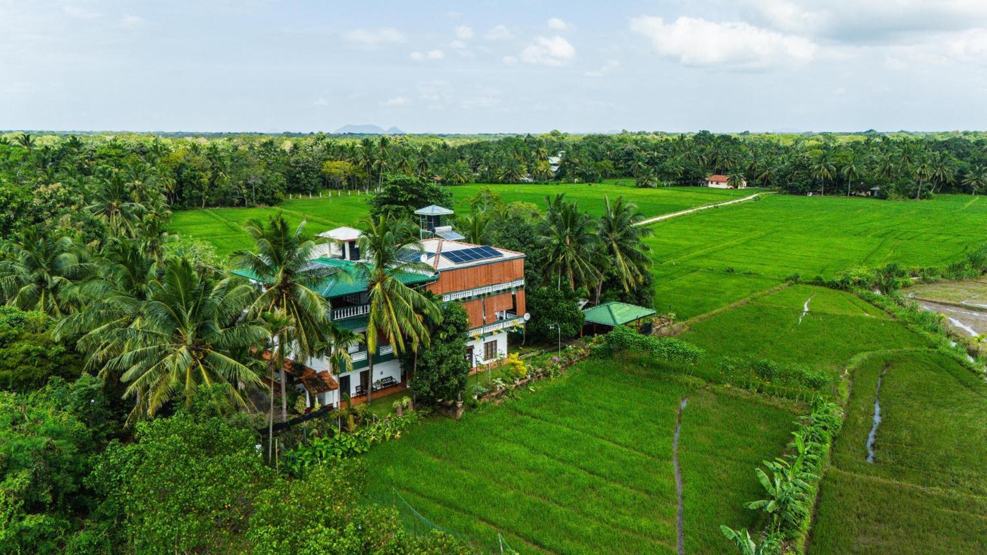 Mailagama Cinnamon Residence Kataragama Eksteriør billede